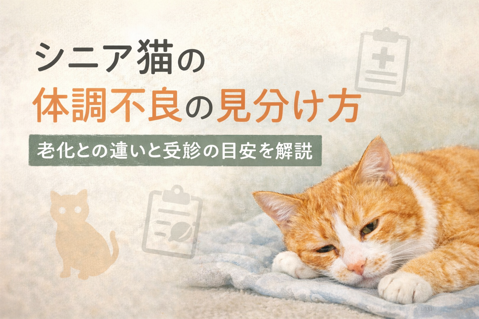 シニア猫の体調不良の見分け方｜老化との違いと受診の目安を解説するアイキャッチ画像