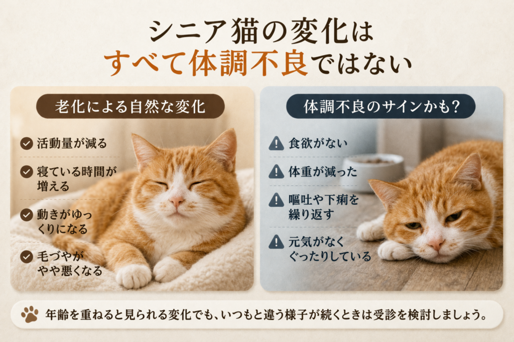 シニア猫の老化による自然な変化と体調不良のサインの違いを比較した画像