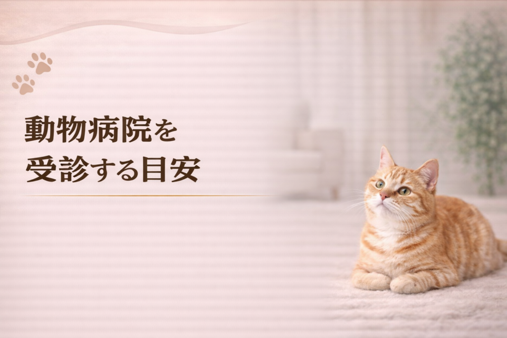 シニア猫の体調変化から動物病院を受診する目安を解説するイメージ画像