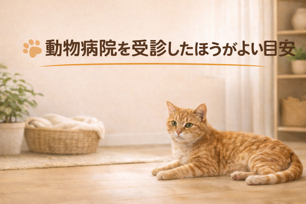 シニア猫の体重減少で動物病院を受診したほうがよい目安を示すイメージ