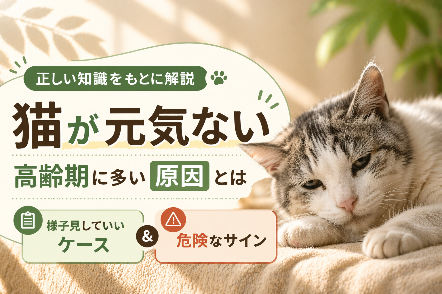 猫が元気ないときに考えられる高齢期の原因と様子見できるケース・危険なサインを解説したイメージ画像
