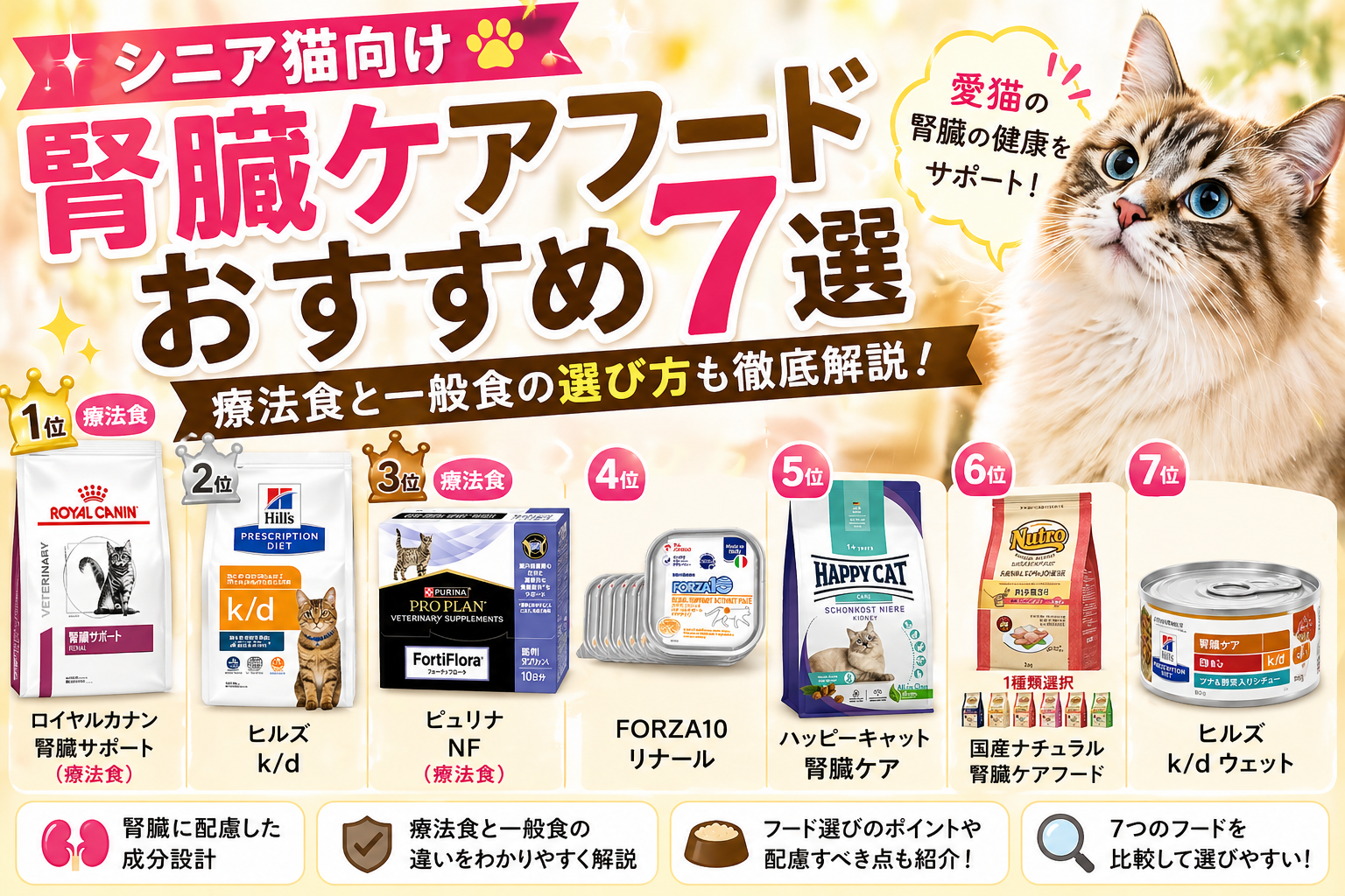 シニア猫向け腎臓ケアフードおすすめ7選を紹介した比較アイキャッチ画像（療法食と一般食の違いも解説）